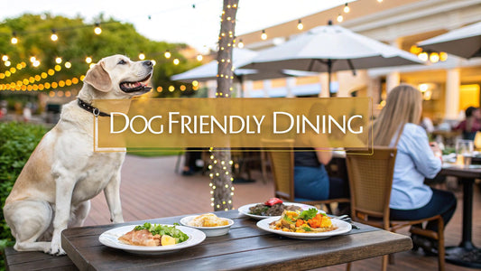 7 Unforgettable Restaurants You Can Take Your Dog to in 2025