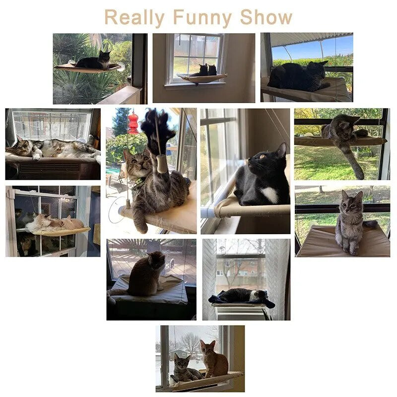 "Ultimate Comfort and Entertainment: Foldable Cat Window Perch Bed Hammock with Secure 4 Suction Cups"