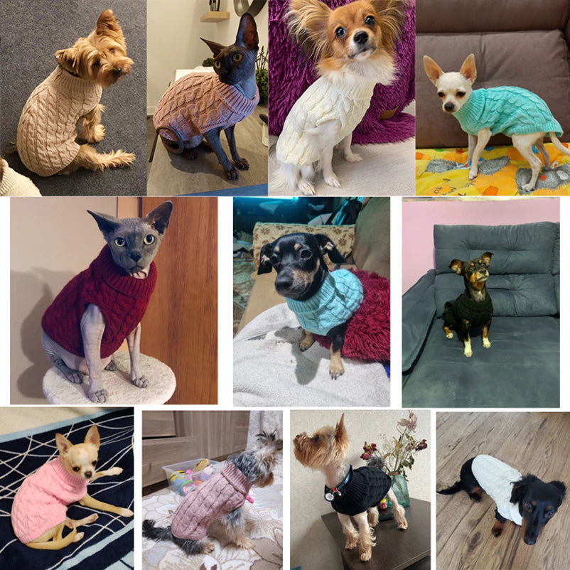 "Cozy and Stylish Winter Sweaters for Small and Medium Dogs and Cats - Keep Your Furry Friend Warm and Fashionable!"