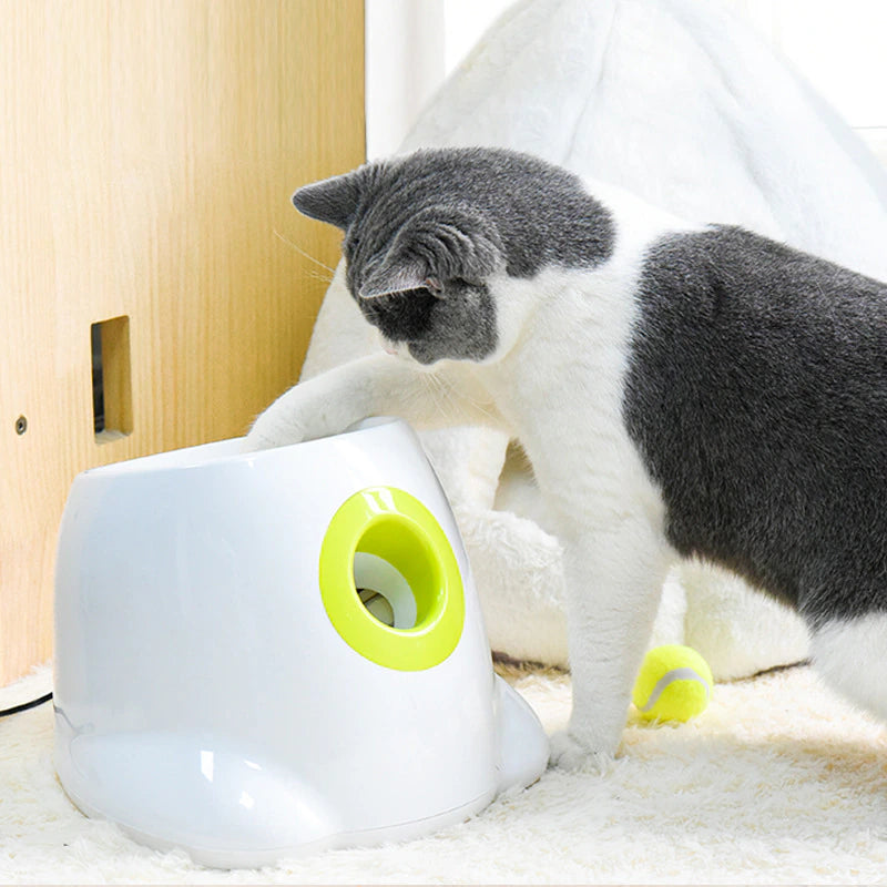 "Ultimate Dog Ball Launcher: Unleash the Fun with Automatic Tennis Ball Thrower for Energetic Dogs!"