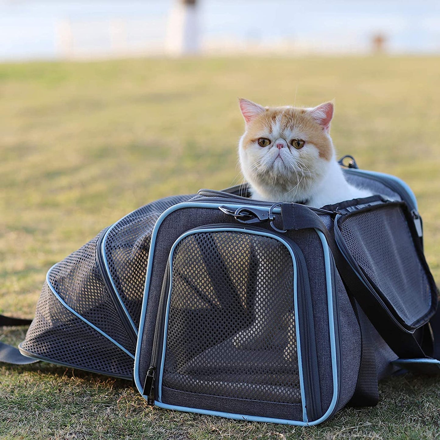 "Ultimate Comfort and Convenience: Expandable Cat and Dog Carrier - Airline Approved, Washable, and Portable - Perfect for Kittens, Puppies, and Small Pets - Includes Removable Plush Mat and Pockets - Secure Locking Safety Zippers"