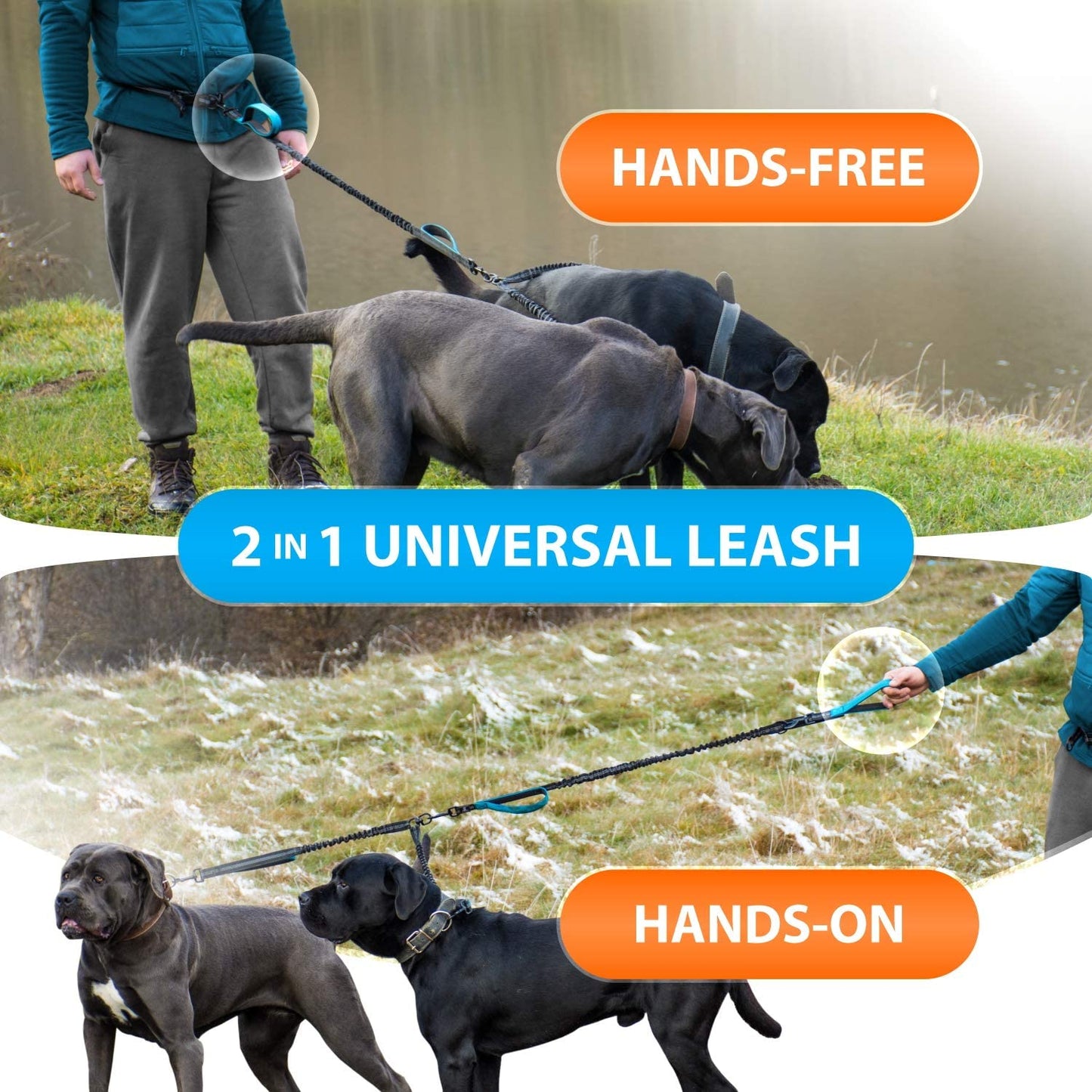 "Ultimate Hands-Free Dual Dog Leash - Perfect for Medium and Large Dogs! Padded Handles, Reflective Stitches, No-Pull Design, Tangle-Free Experience in Vibrant Blue!"