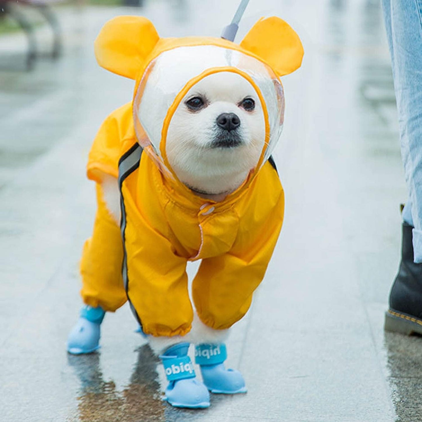 "Stay Dry in Style: Waterproof Dog Raincoat with Reflective Straps and Leash Hole for Dogs of All Sizes!"