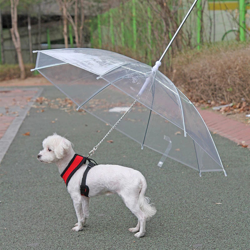 "Stay Dry and Stylish with our 2022 Pet Umbrella Leash - Perfect for Small Dogs, Rain or Shine!"