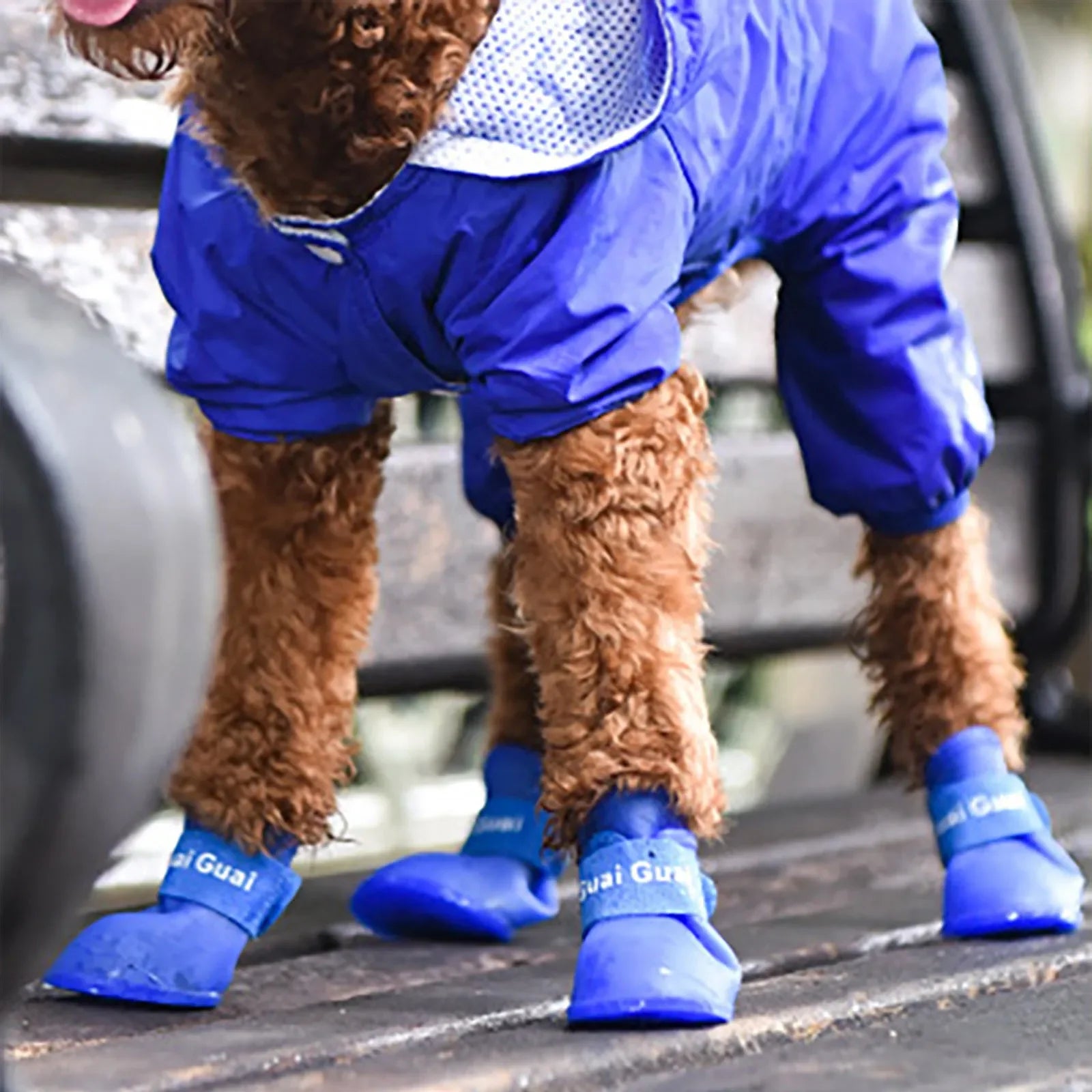 "Keep Your Pet's Paws Dry and Safe with our 4Pcs/Set Waterproof Anti-Slip Pet Rain Shoes - Perfect for Outdoor Adventures!"