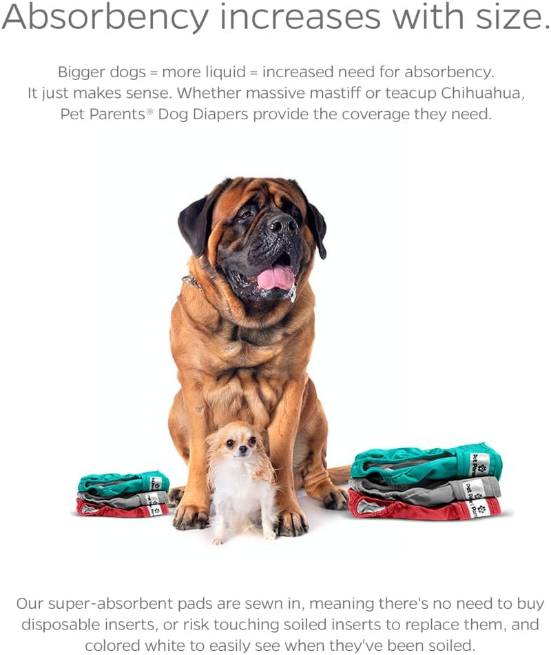 "Stylish and Durable Washable Dog Diapers - 3 Pack of Premium Southern Belle Female Dog Diapers, Extra Small Size"