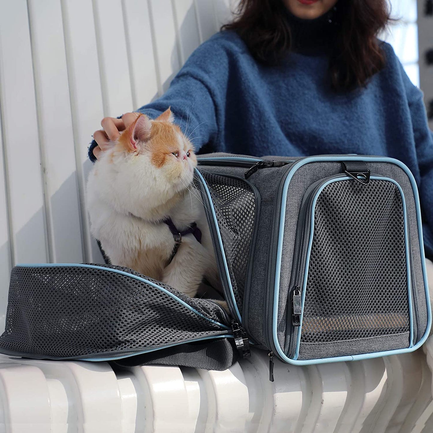 "Ultimate Comfort and Convenience: Expandable Cat and Dog Carrier - Airline Approved, Washable, and Portable - Perfect for Kittens, Puppies, and Small Pets - Includes Removable Plush Mat and Pockets - Secure Locking Safety Zippers"