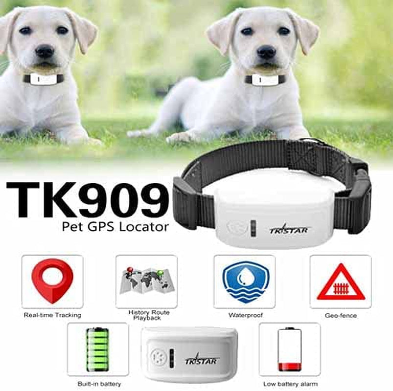 "Never Lose Your Beloved Pet Again! Introducing the Ultimate Pet GPS Tracker - Find Your Furry Friend in Seconds with the Waterproof GPS Dog Collar Attachment - Perfect for Dogs, Cats, and Pets - Stay Connected and Monitor Their Activity with the Tk909!"