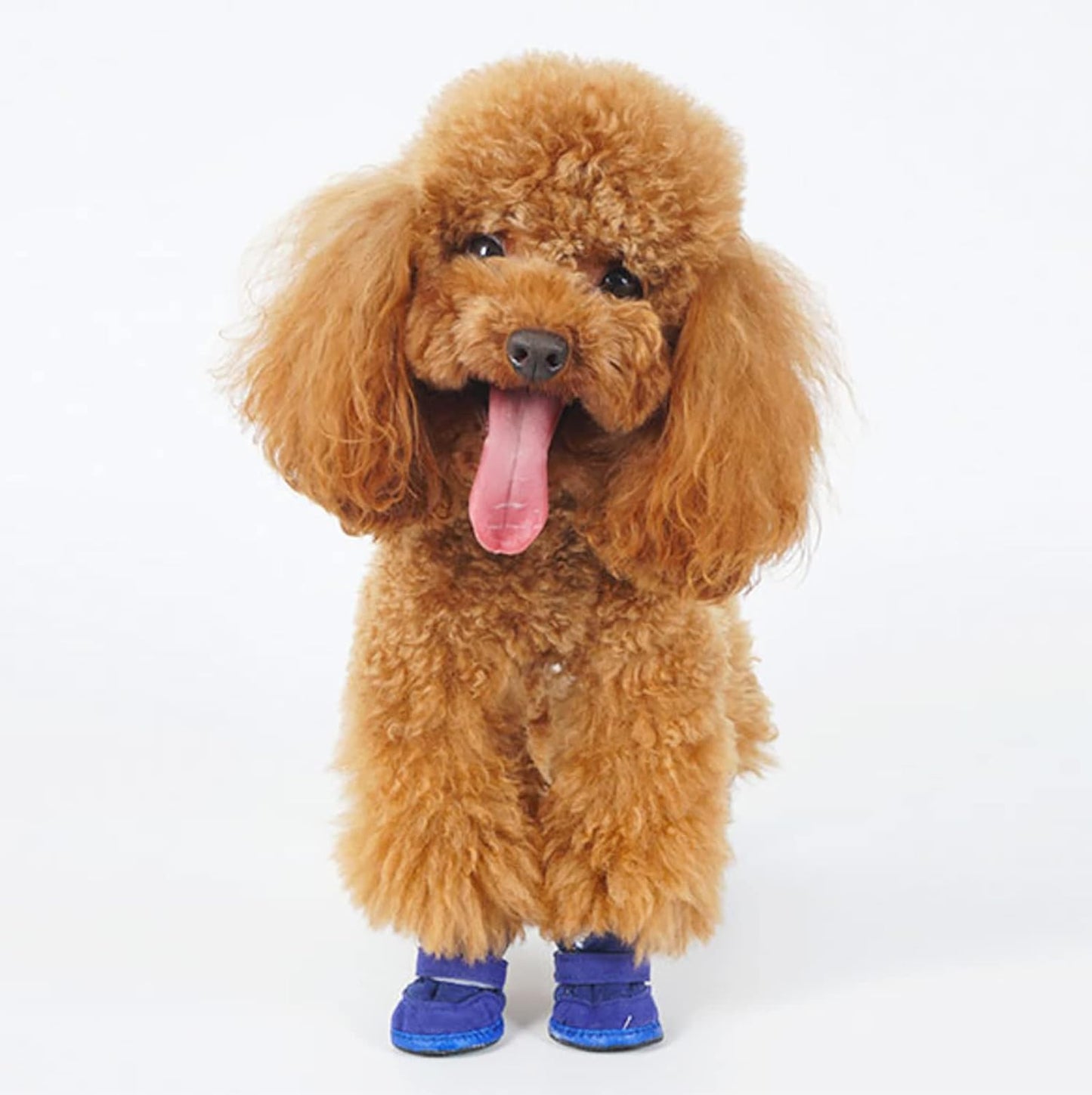 "Stay Warm and Stylish with our Cozy Winter Boots for Small to Medium Dogs and Cats - Perfect for Snowy Adventures!"