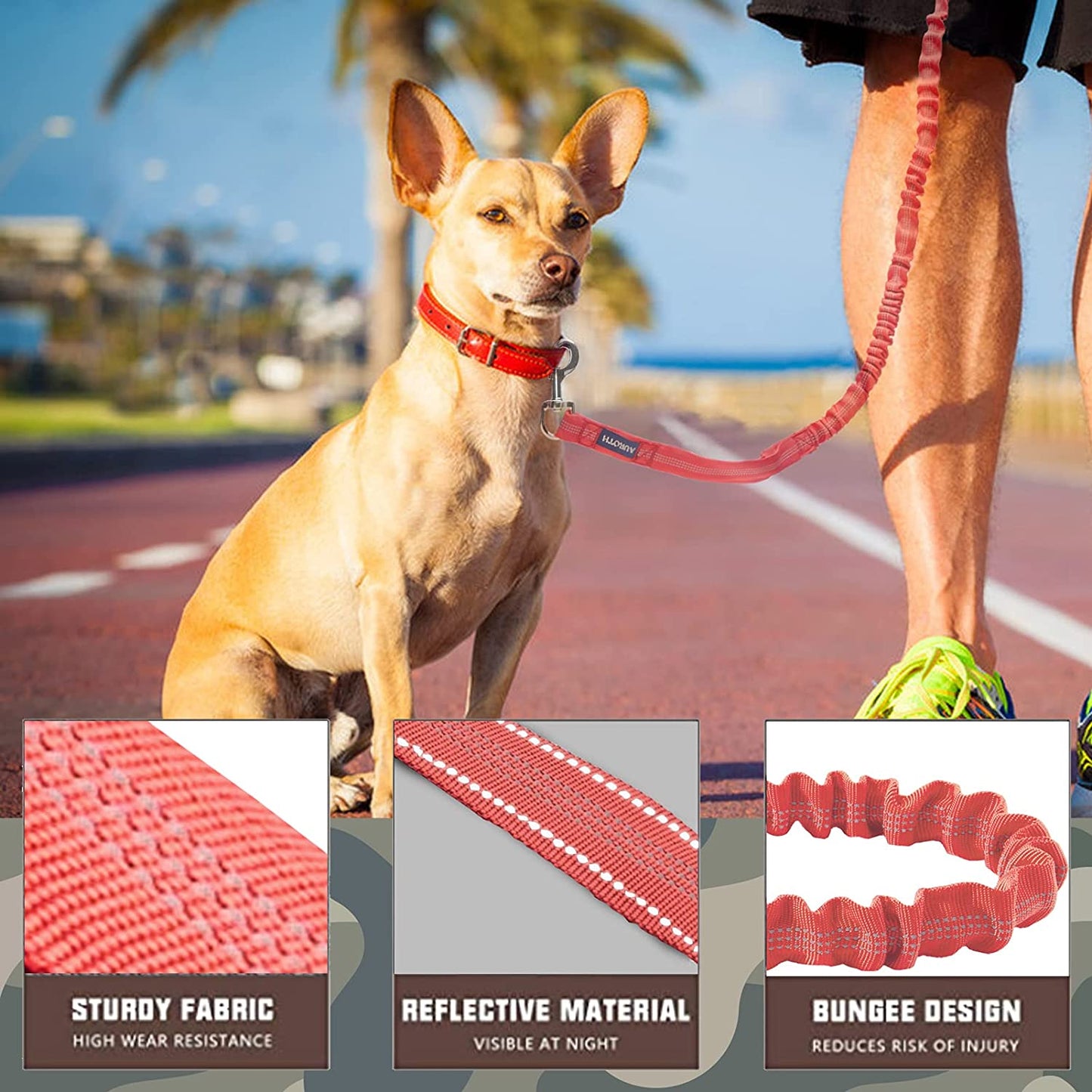 "Ultimate Comfort and Control: Premium Bungee Dog Leash for Large Breeds, No-Pull Design with Shock Absorption and Dual Padded Handles - Ideal for Training and Walking"