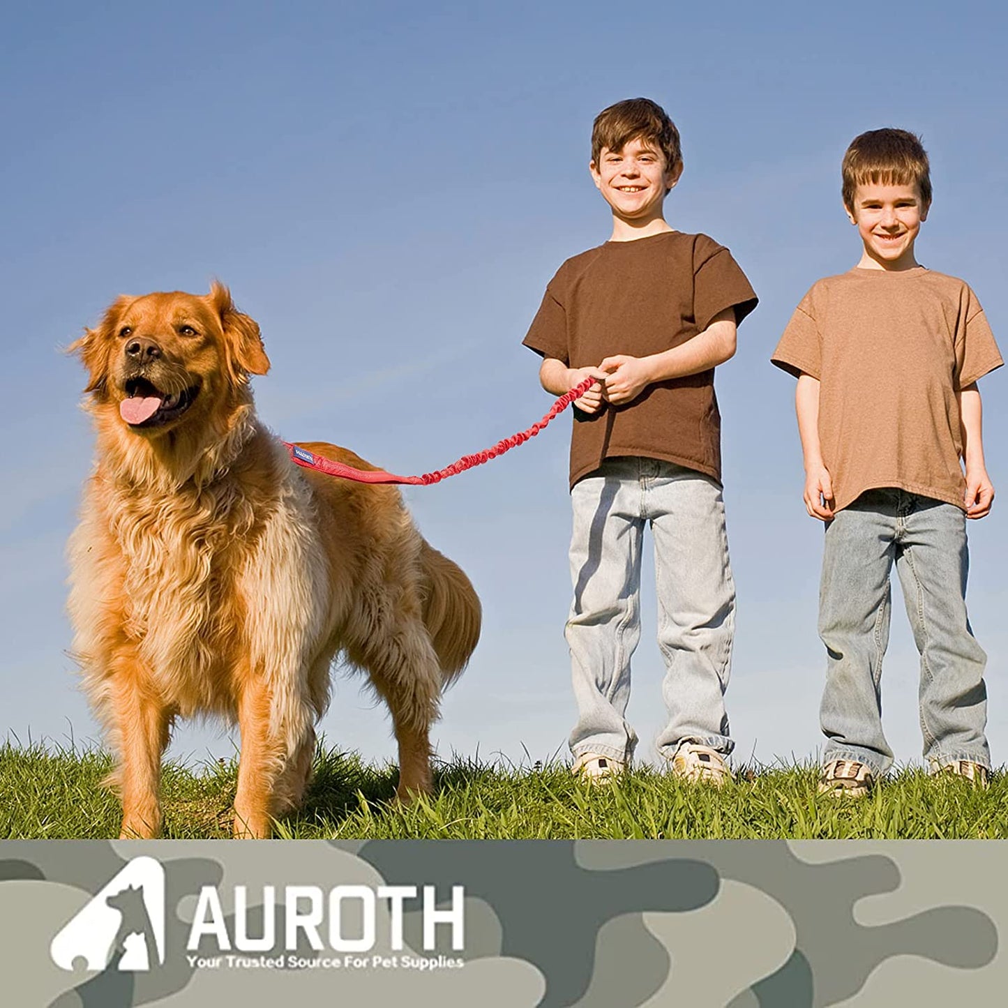 "Ultimate Comfort and Control: Premium Bungee Dog Leash for Large Breeds, No-Pull Design with Shock Absorption and Dual Padded Handles - Ideal for Training and Walking"