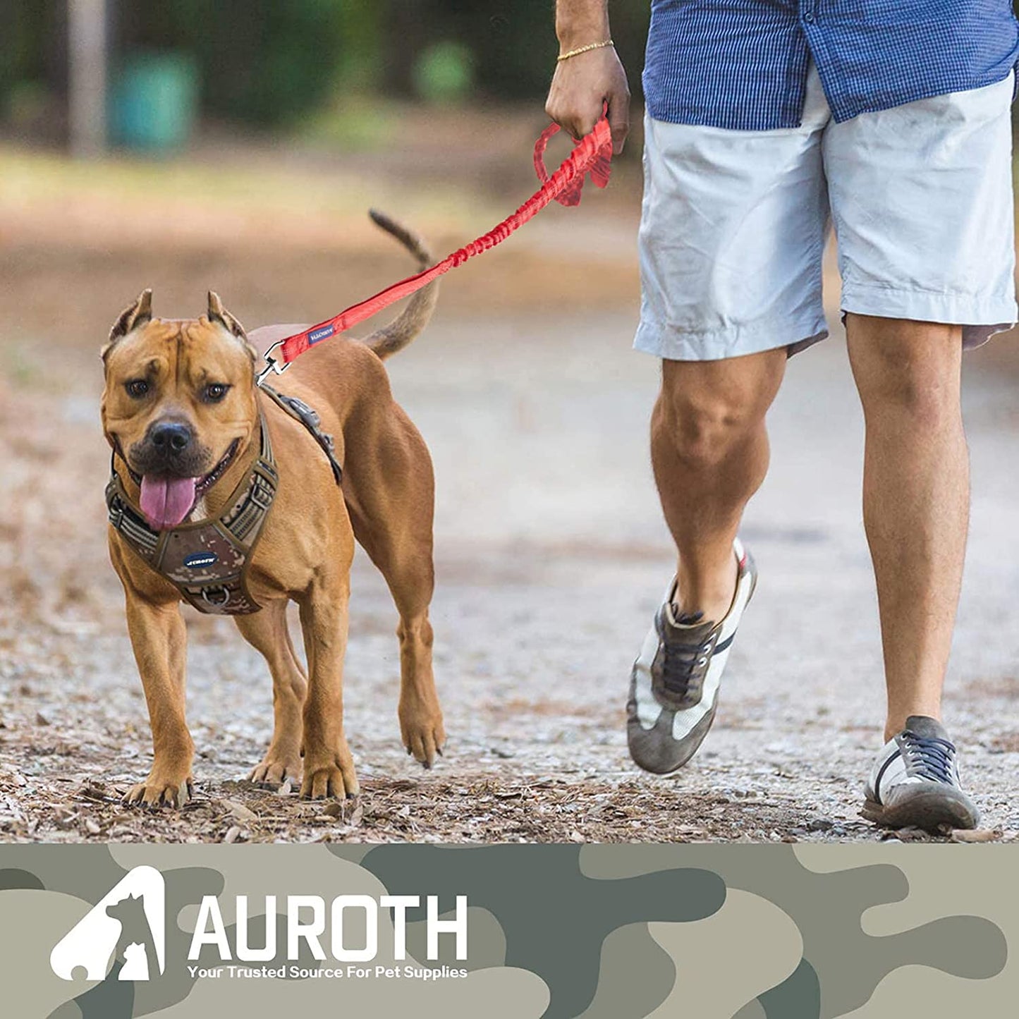 "Ultimate Comfort and Control: Premium Bungee Dog Leash for Large Breeds, No-Pull Design with Shock Absorption and Dual Padded Handles - Ideal for Training and Walking"