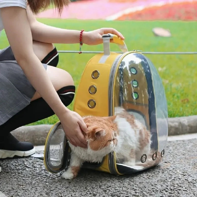 "Explore the Galaxy with Your Furry Friend: Astronaut-Inspired Transparent Backpack Pet Carrier for Dogs and Cats, Perfect for Travel!"