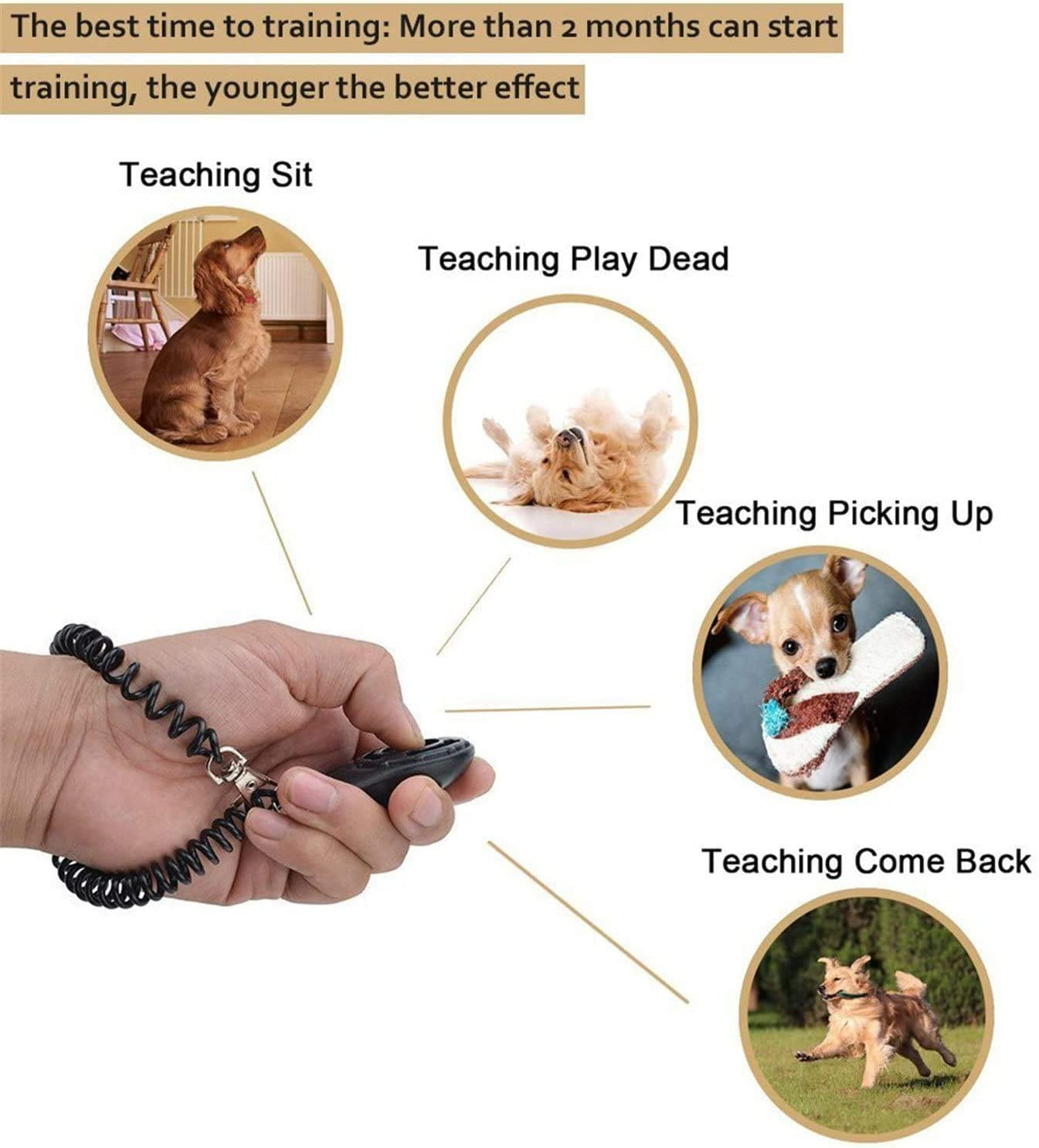 "Ultimate Pet Training Clicker Set - 3 Pack with Wrist Strap! Train Your Dog, Puppy, Cat, Bird, Horse, and More!"