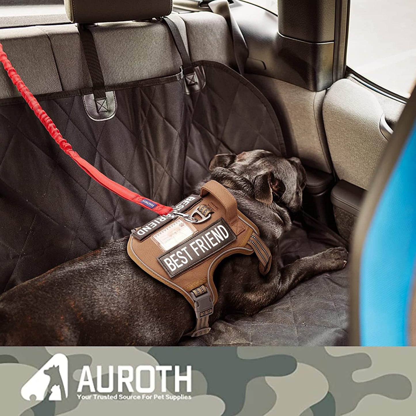 "Ultimate Comfort and Control: Premium Bungee Dog Leash for Large Breeds, No-Pull Design with Shock Absorption and Dual Padded Handles - Ideal for Training and Walking"