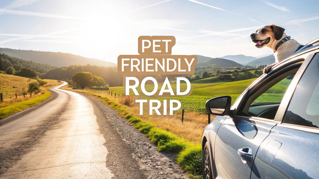 Your Guide to the Perfect Pet Friendly Road Trip
