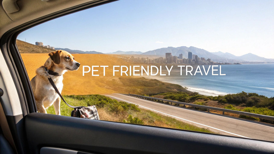 Top 10 Pet Friendly Travel Destinations for 2025