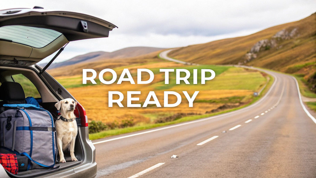Top 8 Road Trip with Dog Tips for a Safe 2025 Adventure