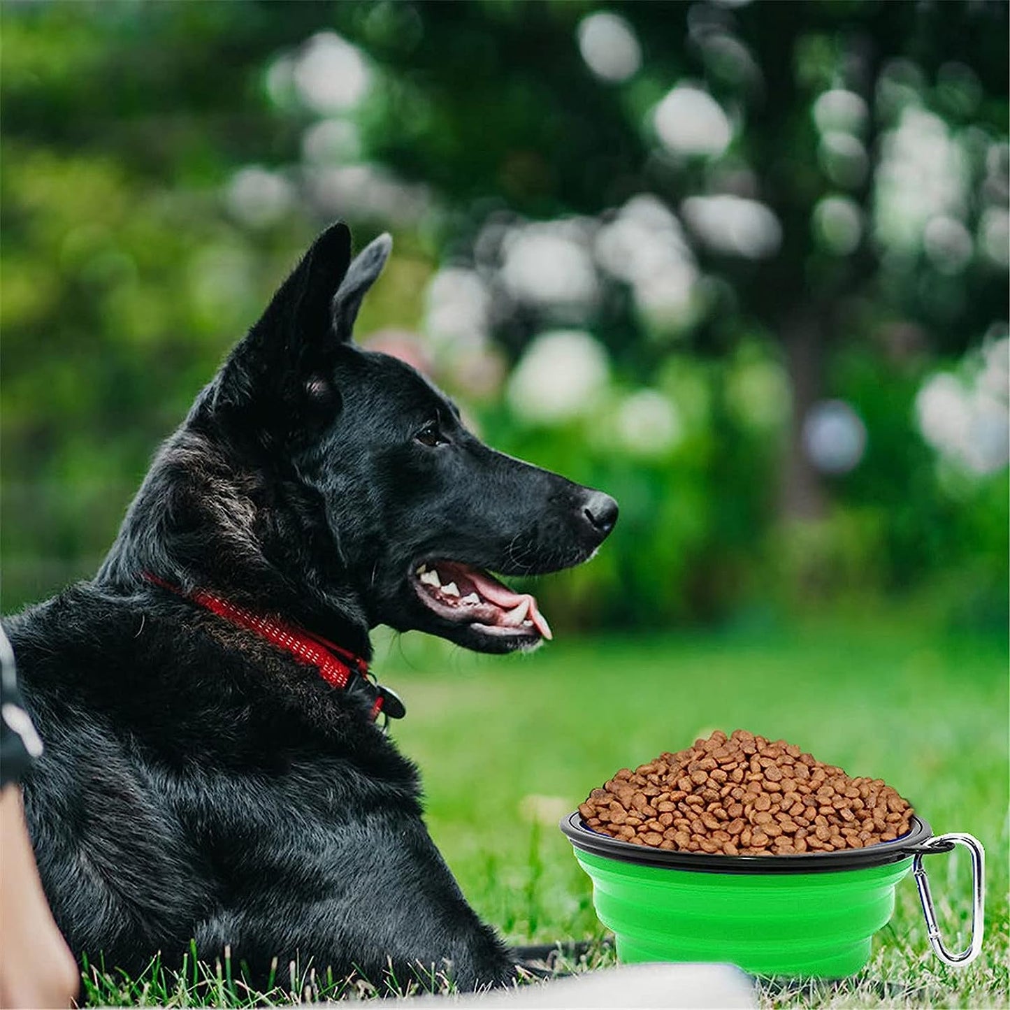 "Convenient and Portable Collapsible Dog Bowl for On-the-Go Pets - Perfect for Travel, Camping, and Outdoor Adventures - Large Size in Vibrant Green"