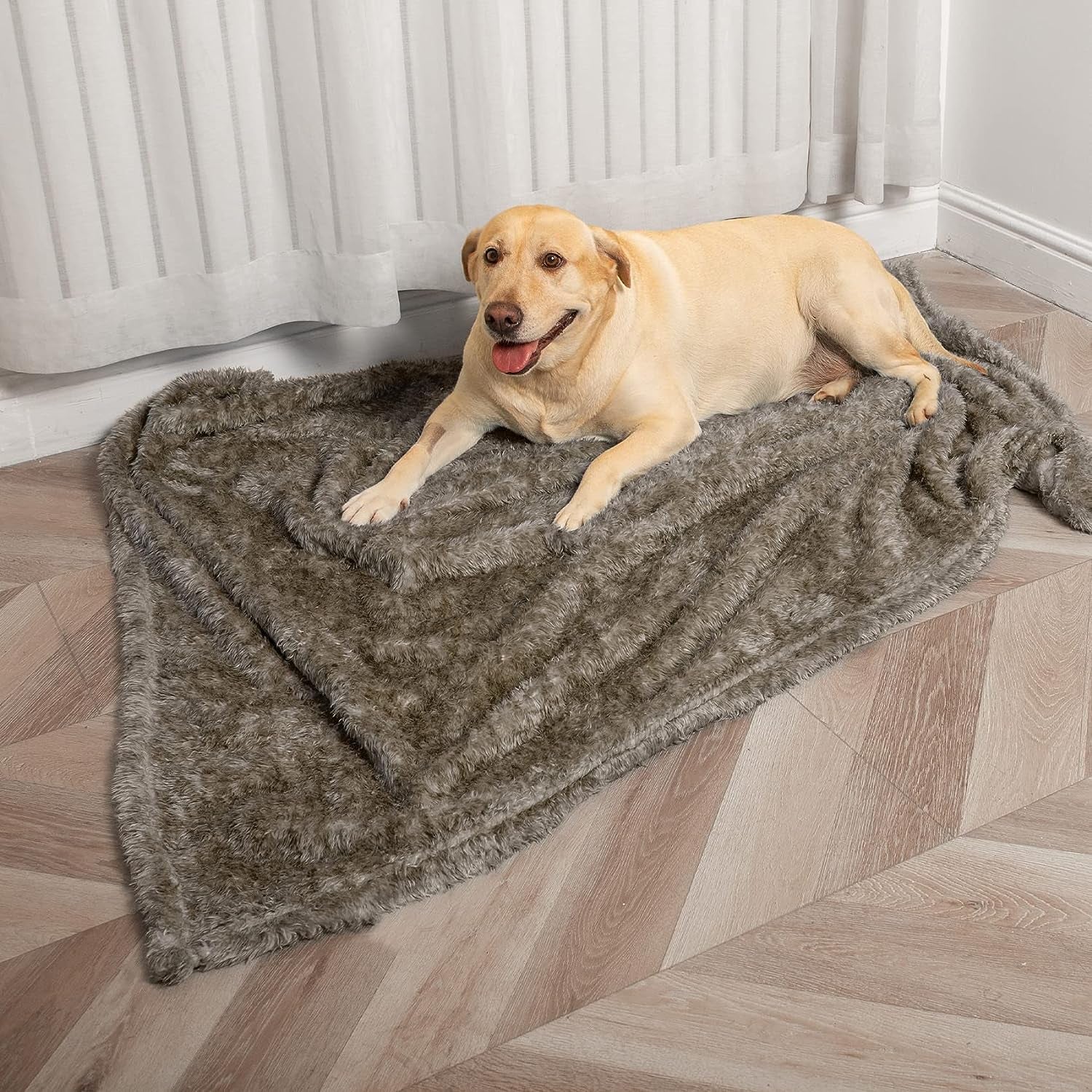 "Cozy Comfort for Your Furry Friend: Luxurious Fluffy Fleece Dog Blankets - Perfect for All Sizes of Dogs and Cats! Keep Your Pet Warm and Snuggled on Beds, Couches, Sofas, and Even While Traveling! Available in Stylish Taupe, 40X60 Inch Size."