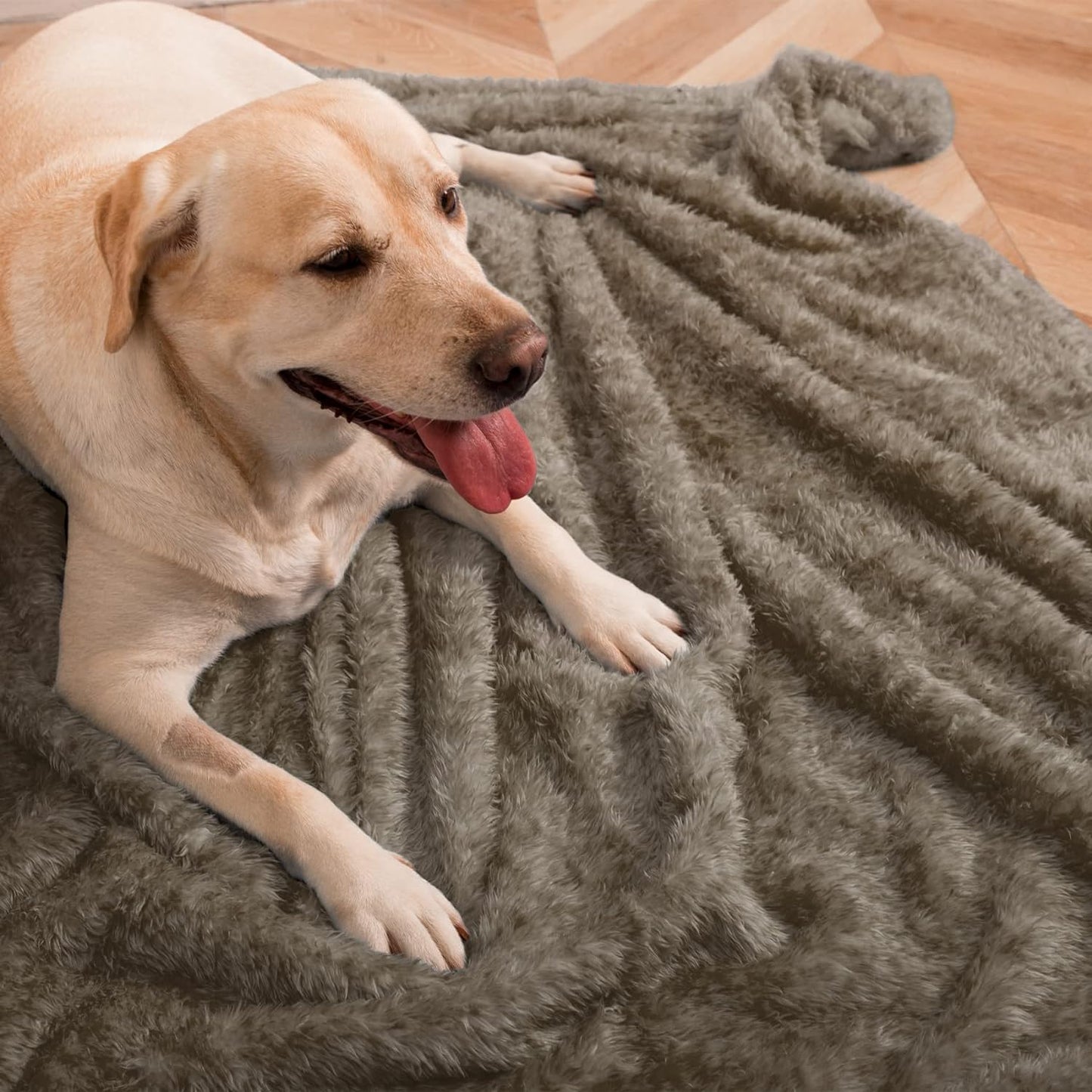 "Cozy Comfort for Your Furry Friend: Luxurious Fluffy Fleece Dog Blankets - Perfect for All Sizes of Dogs and Cats! Keep Your Pet Warm and Snuggled on Beds, Couches, Sofas, and Even While Traveling! Available in Stylish Taupe, 40X60 Inch Size."